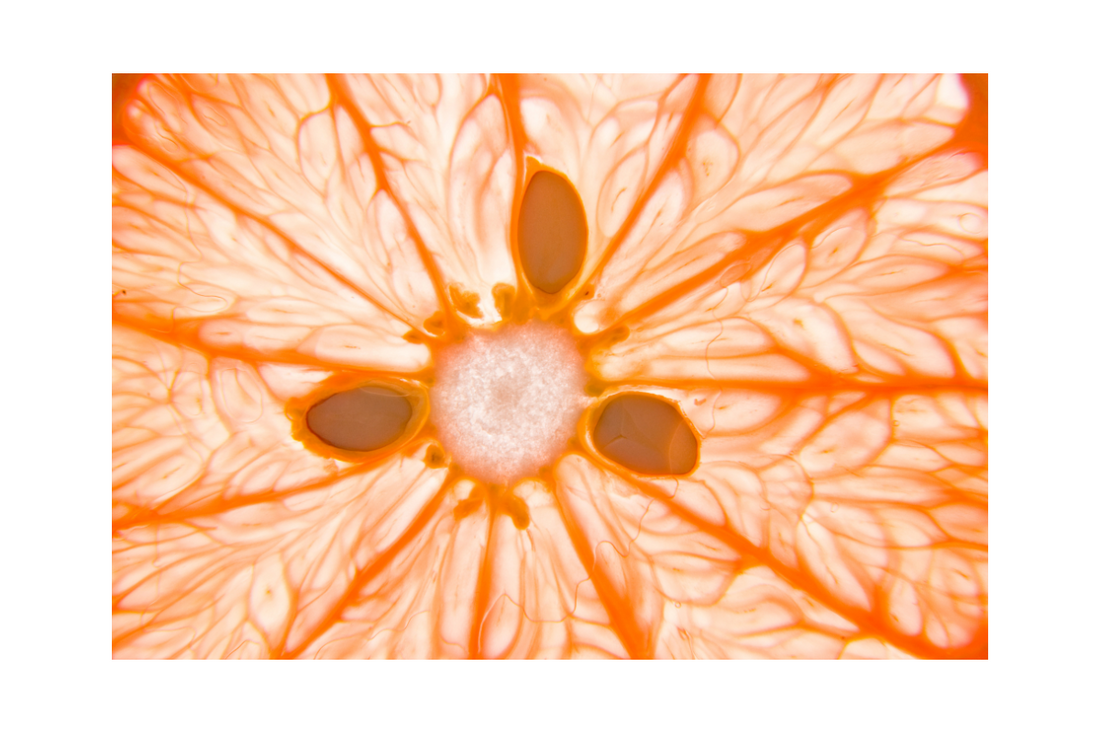 Brand Your Space: Turning Your Products into Powerhouses